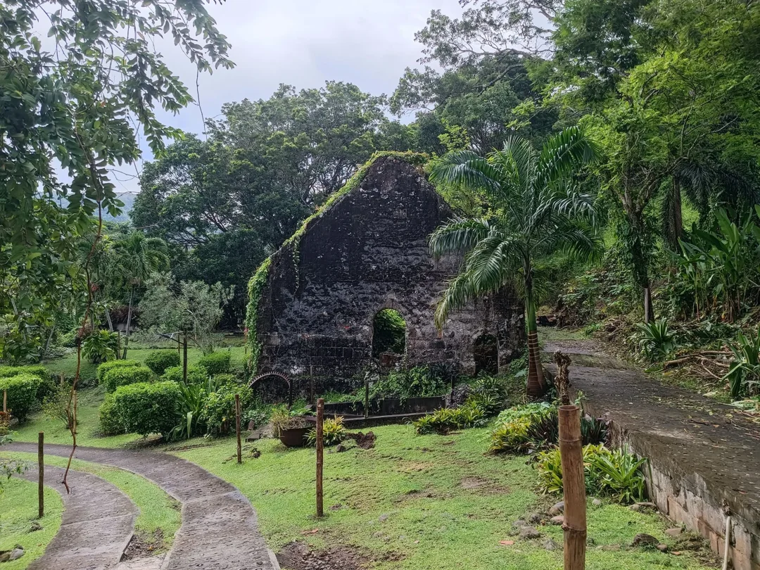 Ruines anciennes cachées dans la végétation luxuriante