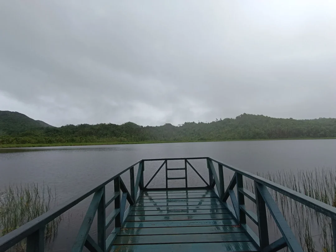 Dock mouillé entouré par la nature et l'eau