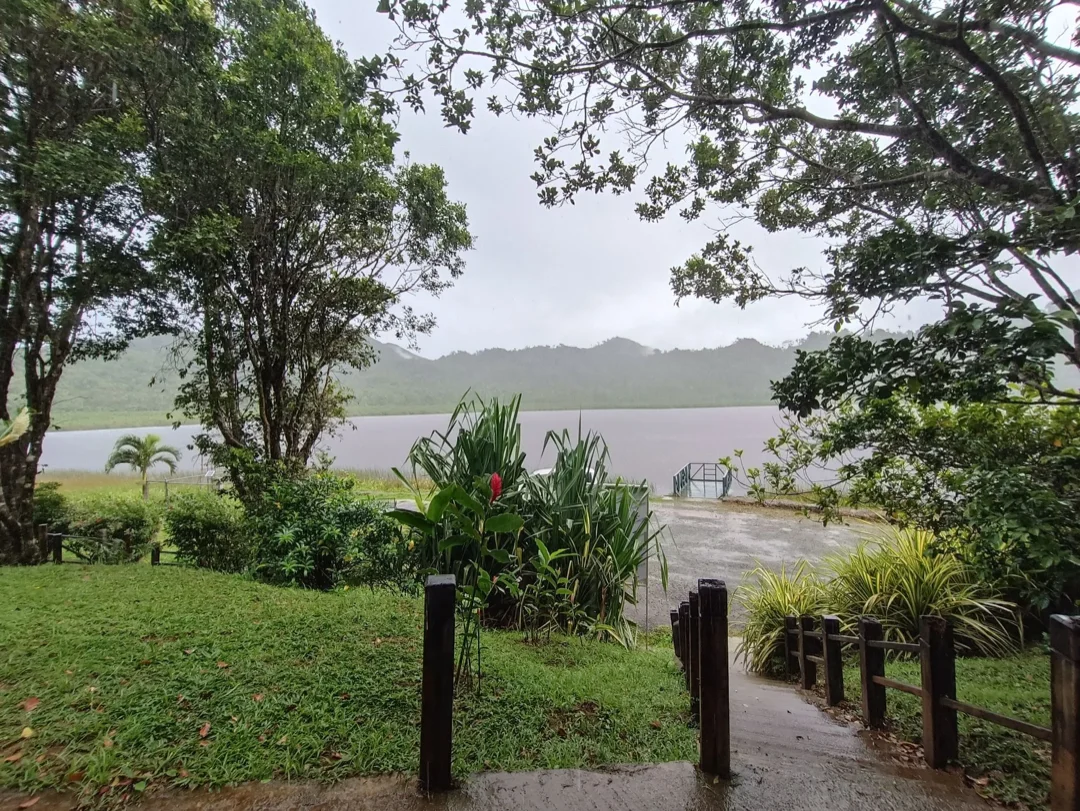 Végétation luxuriante avec le dock du bateau vu de loin